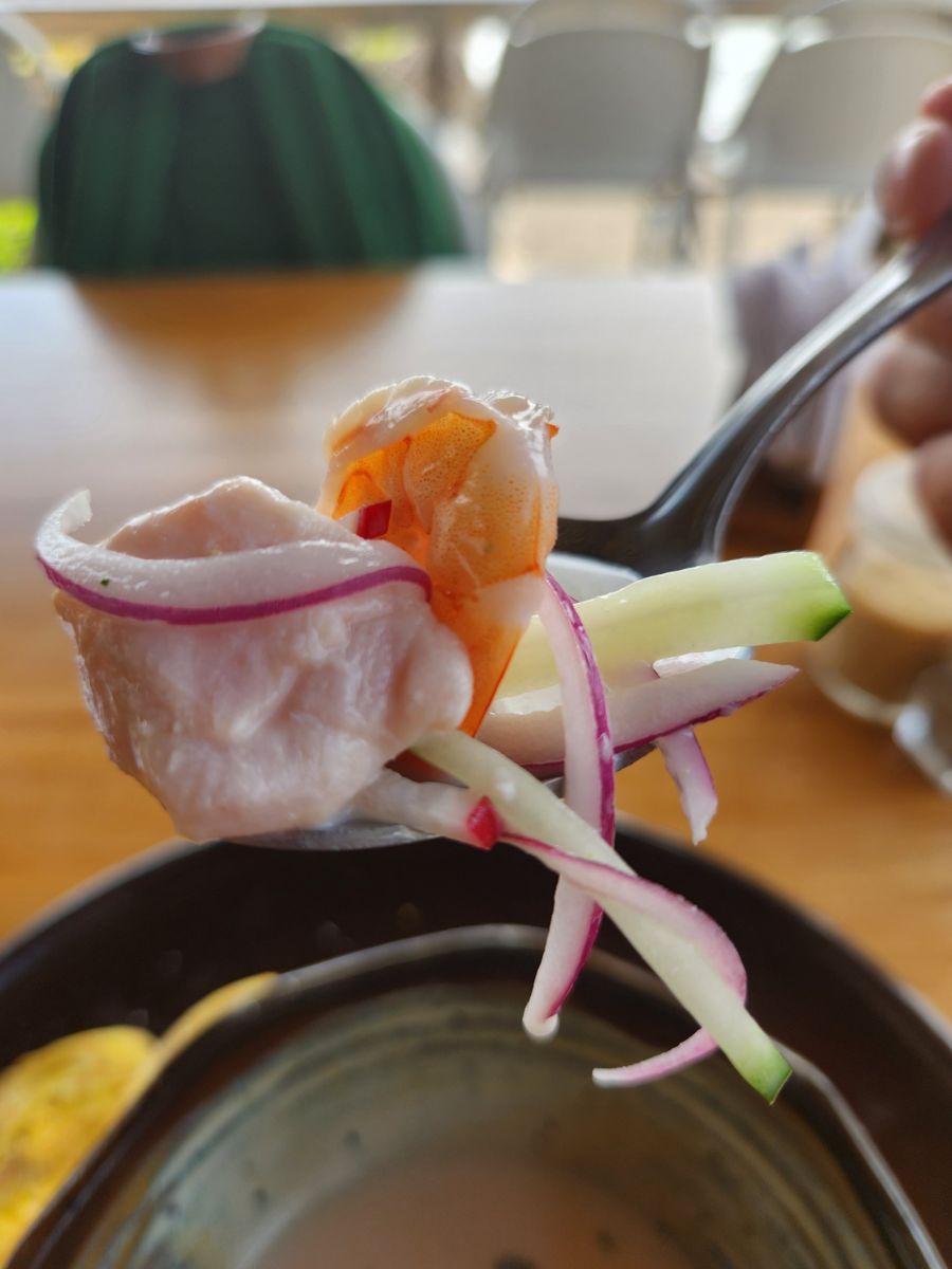 Flavors of El Salvador