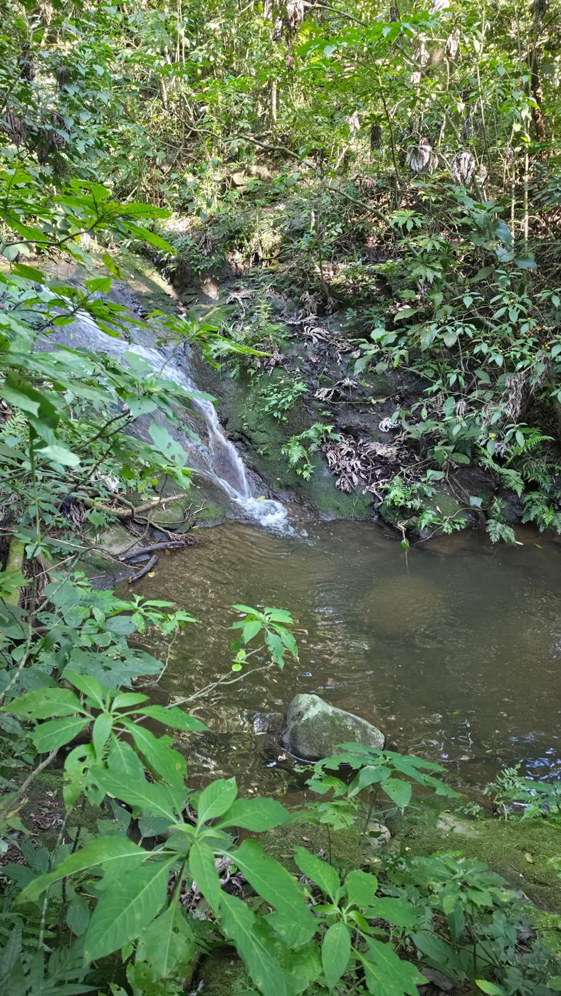 Finca Matalapa Waterfalls
