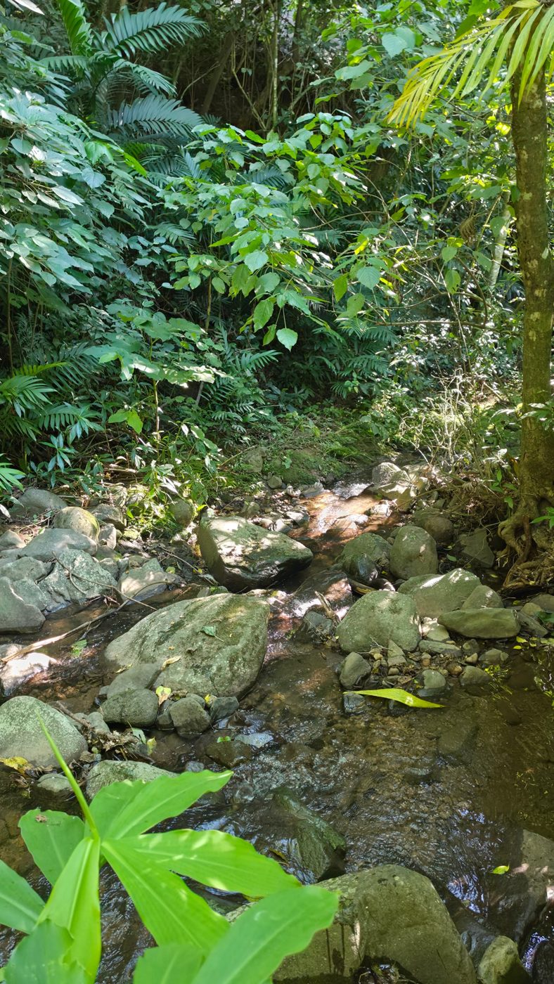 Finca Matalapa Waterfalls